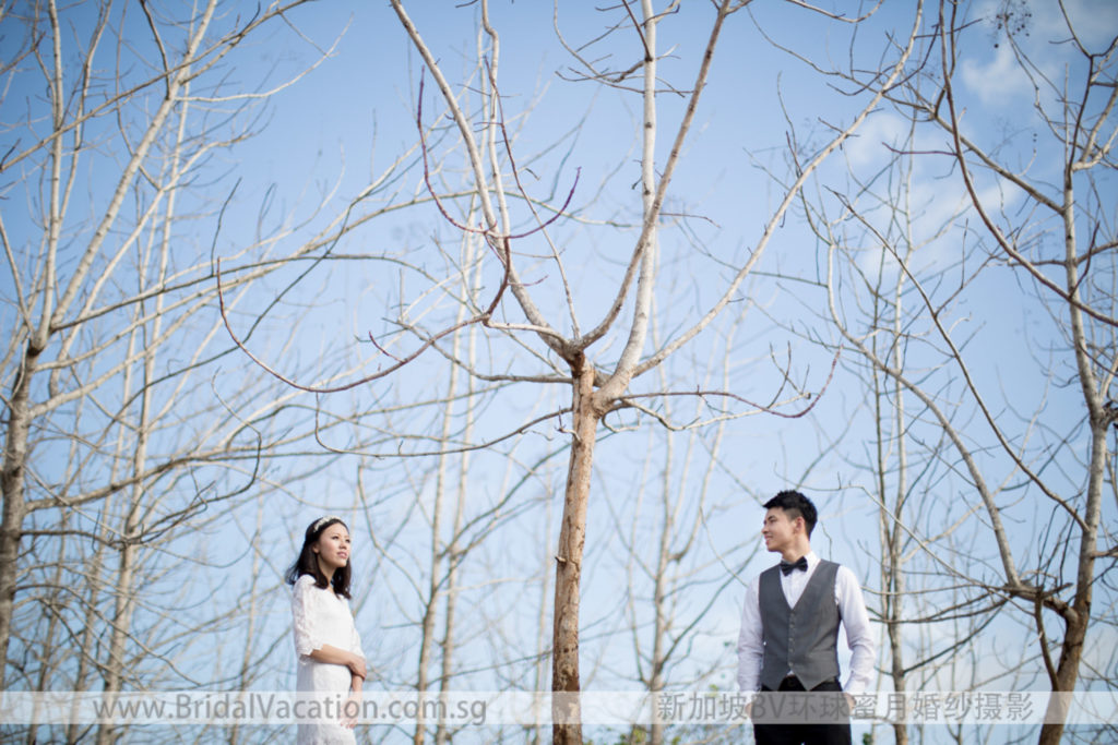 新加坡BV环球 巴厘岛婚纱照