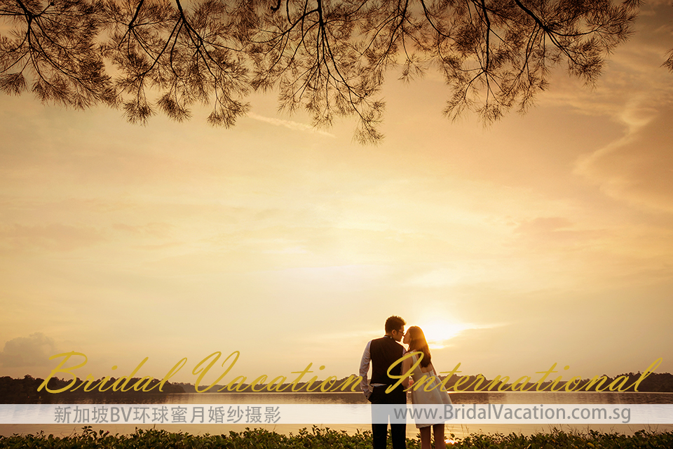 新加坡BV环球 幸福树婚纱照