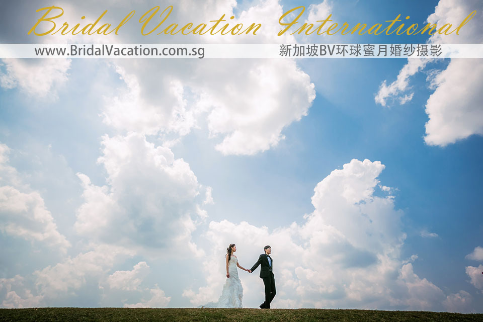 新加坡BV环球 幸福树婚纱照