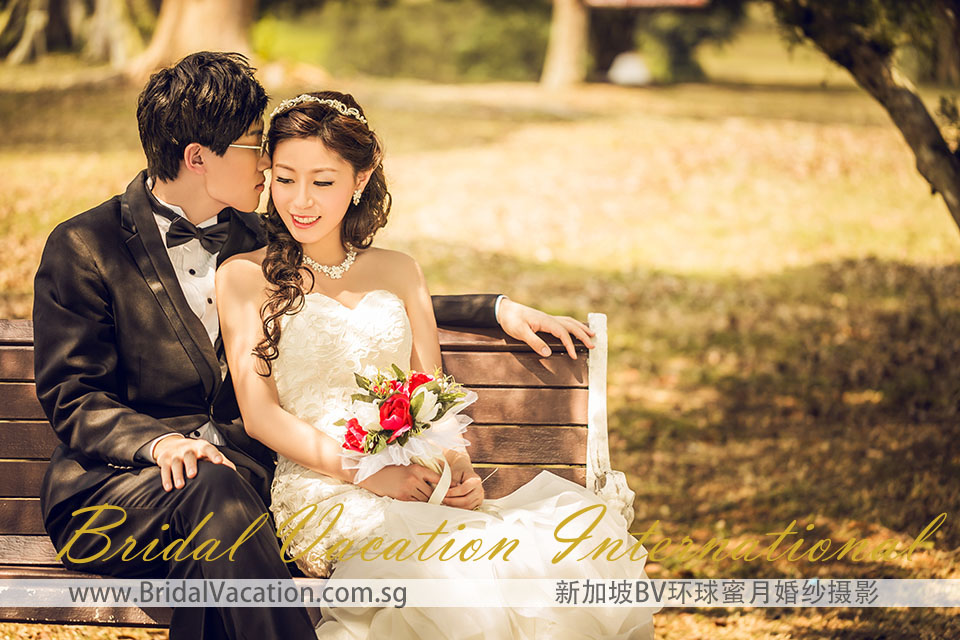 新加坡BV环球 幸福树婚纱照