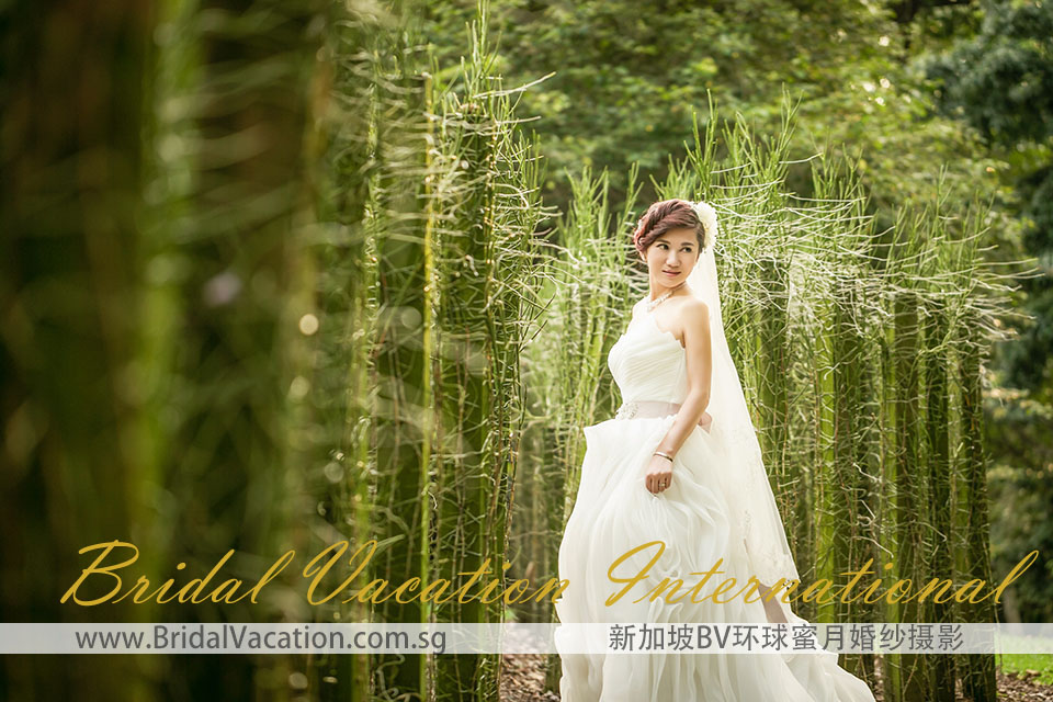 新加坡BV环球植物园婚纱照