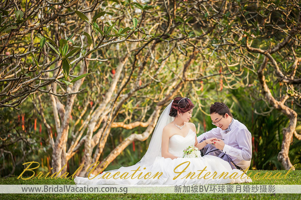 新加坡BV环球植物园婚纱照