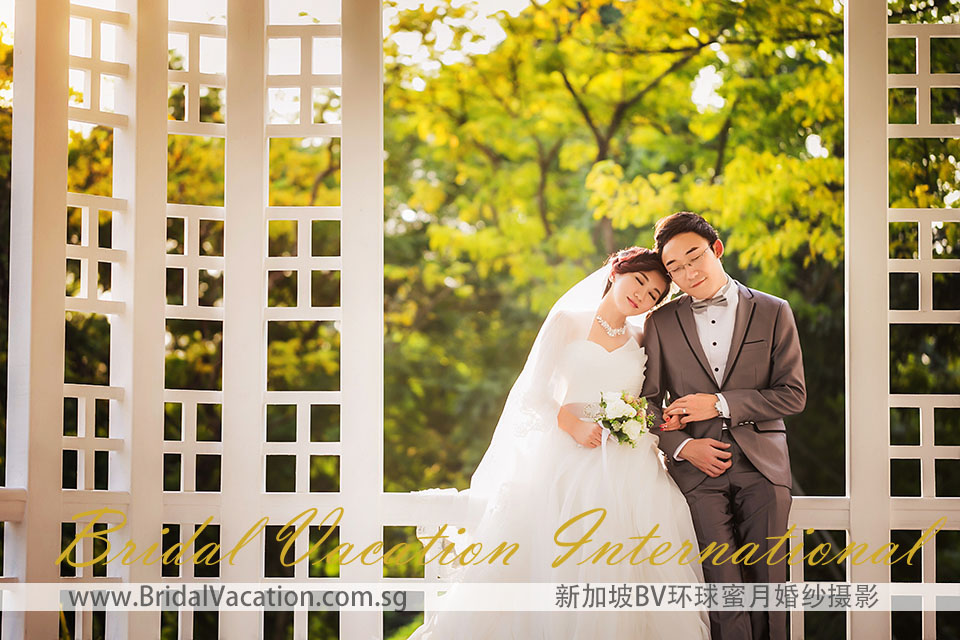 新加坡BV环球植物园婚纱照