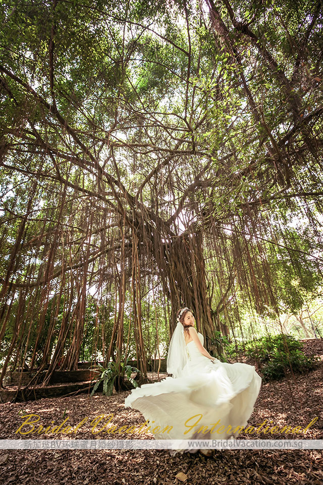 新加坡BV环球植物园婚纱照