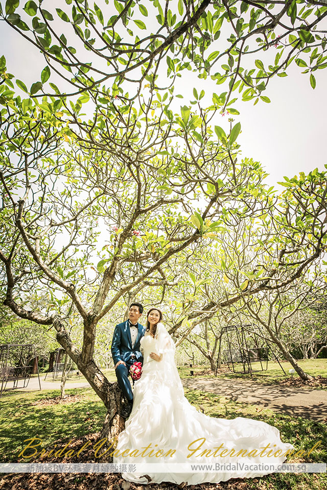 新加坡BV环球植物园婚纱照