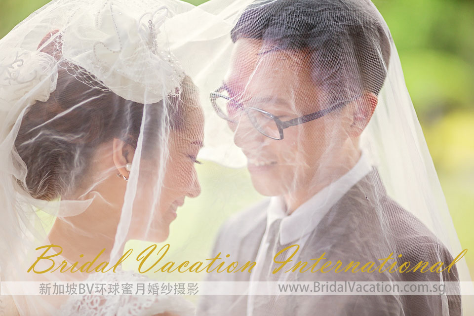 新加坡BV环球植物园婚纱照